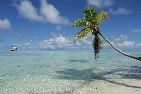 Fakarava, îles Tuamotu