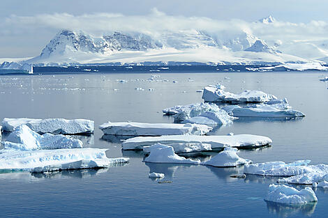Antarktis: Der Weiße Kontinent – mit Smithsonian Journeys-No-1804.JPEG