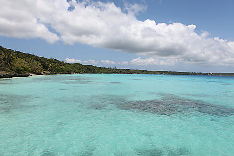 Lifou