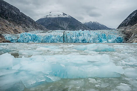 Endicott Arm, Alaska