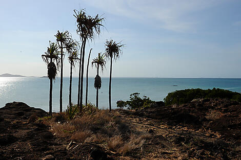 Cape York