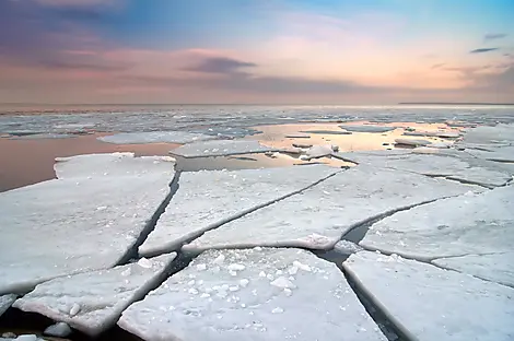 Sailing toward the ice floes