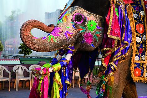 Treasures of India-istockphoto elephant india hd horiz .jpg