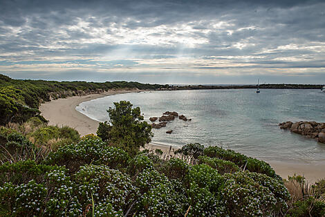 Île King, Tasmanie