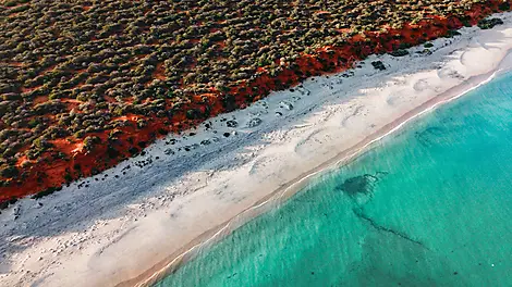 Shark Bay World Heritage Area