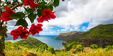 Marquises, Tuamotu et îles de la Société