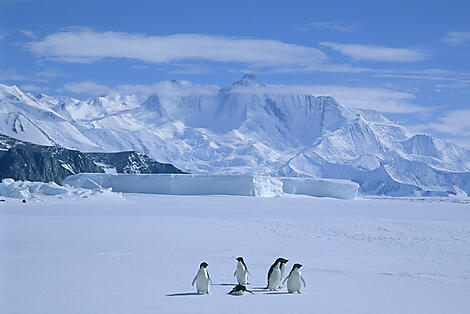 Halbumrundung Antarktis – auf den Spuren großer Entdecker-AdobeStock_284371771.jpeg