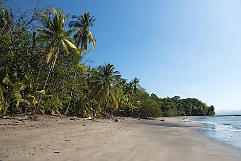 Cébaco Island