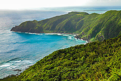 Japanese subtropical Islands-iStock-1159791204.jpg