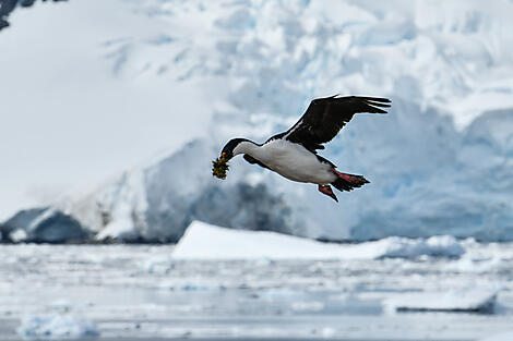 The Antarctic Odyssey -N°2470_B241119_Ushuaia-Ushuaia©StudioPonant_Morgane Monneret.jpg