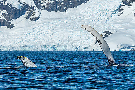 Antarktis, Falklandinseln & Südgeorgien -No-4501_S091219_ushuaia-ushuaia©StudioPonant-OlivierBlaud.jpg