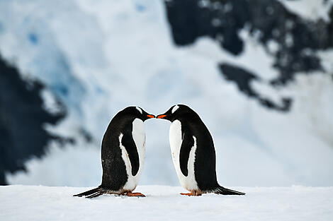 Antarktis `Klassisch´-N°2431_B241119_Ushuaia-Ushuaia©StudioPonant_Morgane Monneret.jpg