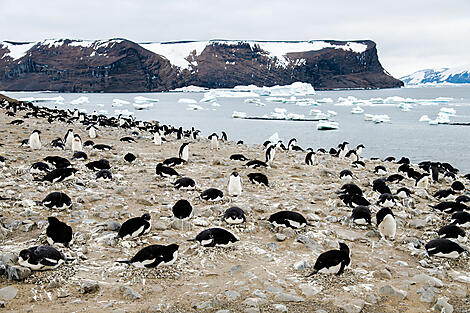 Antarktis `Klassisch´-N-200145_A101219_USHUAIA-USHUAIA©StudioPONANT-ClémentLOUINEAU.jpg