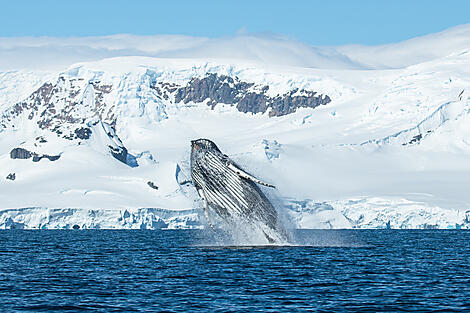 Antarktis `Klassisch´ -No-4515_S091219_ushuaia-ushuaia©StudioPonant-OlivierBlaud.jpg