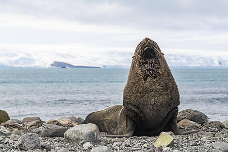 Antarktis `Klassisch´ -No-2075_B060220_Ushuaia-Ushuaia©StudioPONANT-Laurence FISCHER.jpg