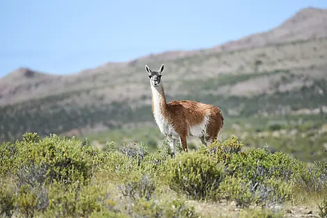 Puerto Madryn