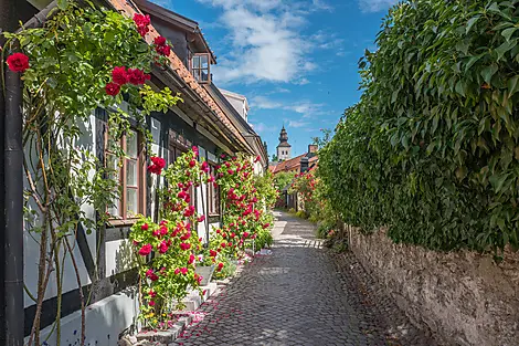 Cruising the Historic Cities of the Baltic Sea – with Smithsonian Journeys-AdobeStock_116055562.jpg