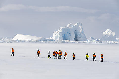 Die Kaiserpinguine des Weddell-Meers-No-2161_O141221_PuntaArenas-PuntaArenas©StudioPONANT-Olivier Blaud.jpg