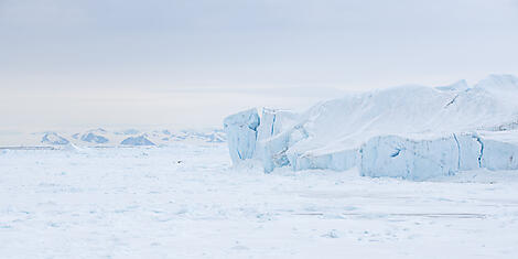 Die Kaiserpinguine des Weddell-Meers-No-1101_O191121_Punta Arenas-Punta Arenas©StudioPONANT-Olivier Blaud.jpg