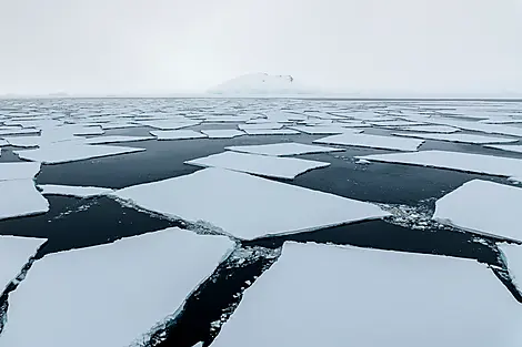 Beyond the Antarctic Circle – In the Wake of Jean-Baptiste Charcot-N-1096_O011121_The-Gullet©StudioPONANT-Olivier Blaud.jpg