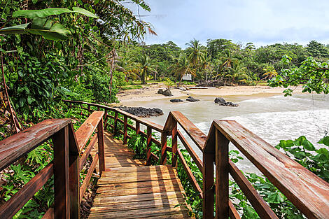 Bocas del Toro