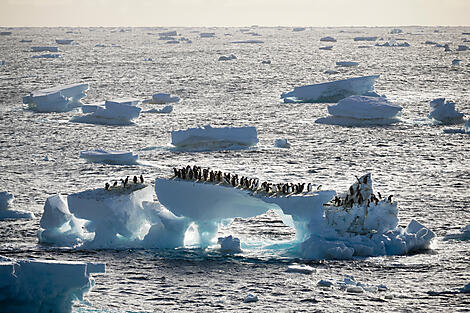 Halbumrundung Antarktis – zwischen den Kontinenten-N°0300_StudioPONANT_Morgane Monneret.jpg