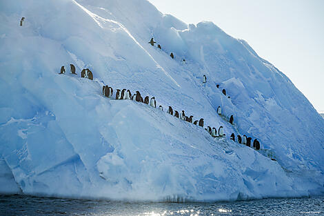 Halbumrundung Antarktis – auf den Spuren großer Entdecker-N°0317_StudioPONANT_Morgane Monneret.jpg