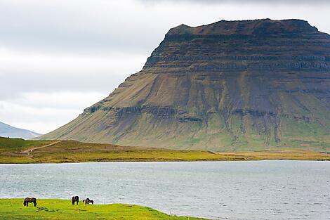 Natur und Traditionen Islands-iStock_000018960763Medium_Grundarfjordur_Snaefellsnes.jpg