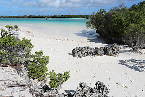Sansibar, Aldabra und Schätze des Indischen Ozeans-N-2302_Y010418_Aldabra©StudioPONANT-Margot-Sib.jpg