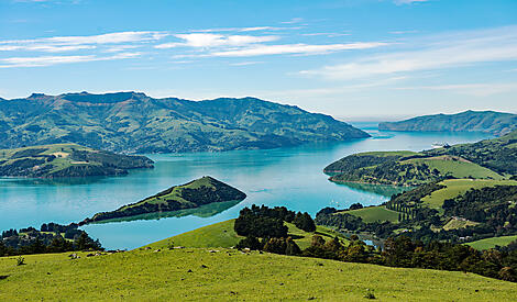 Nouvelle-Zélande : îles du Sud et Chatham-AdobeStock_251030325.jpeg
