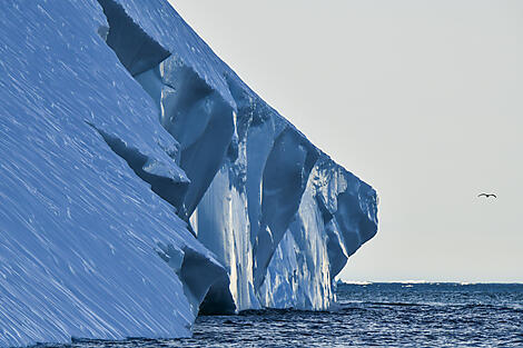 Entlang der Nordwestpassage auf den Spuren von Roald Amundsen-N°0055_B280819_Kangerlussuaq-Nome North West Passage_A&K©StudioPonant_Morgane Monneret.jpg