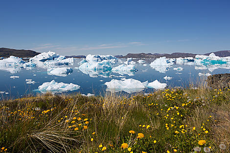 Le Groenland des grands explorateurs  -Depositphotos_21440691_l-2015.jpg