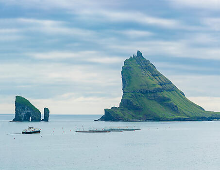 Shetland, Färöer, Island: zwischen wilden Inseln und sagenumwobenen Ländern-AdobeStock_288043538.jpeg