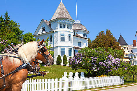 Expédition au cœur des Grands Lacs américains -iStock-484377455 (1).jpg