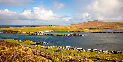 Île de Noss, îles Shetland