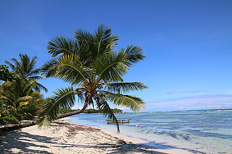Madagascar, Zanzibar et les trésors de l’océan Indien-AdobeStock_160807647.jpeg