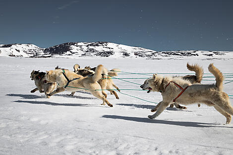 Printemps inuit à l'orée du Scoresby Sund-N°0177_O030622_Reykjavik-Longyearbyen©StudioPONANT_Morgane Monneret.jpg
