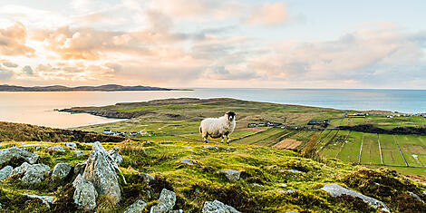 england ireland scotland cruise