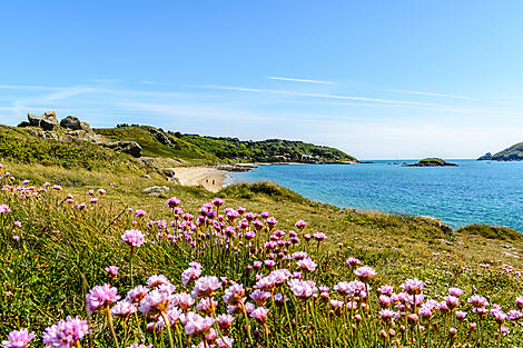 Herm, îles Anglo-Normandes