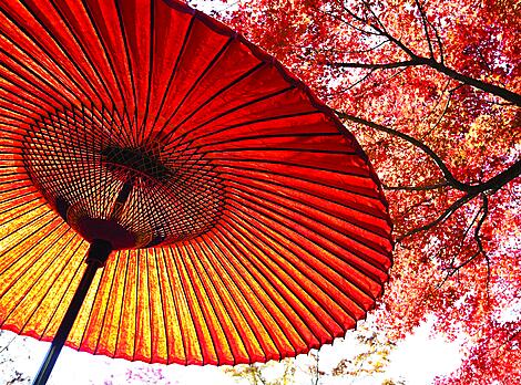Japan, ein natürliches Heiligtum mit jahrhundertealten Traditionen -iStock_000021430776XXLarge.jpg
