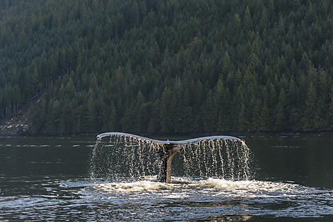 Natur pur in Alaska-Best of-10499_A150919_Nome-Vancouver©Studio PONANT-Laurence Fischer.jpg