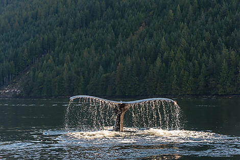 Alaska, nature on a grand scale-Best of-10499_A150919_Nome-Vancouver©Studio PONANT-Laurence Fischer.jpg