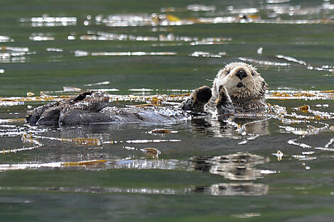 Cruising Alaska’s Inside Passage – with Smithsonian Journeys-N-1234_S110816_Nome-Seward©StudioPONANT-Laure Patricot.jpg