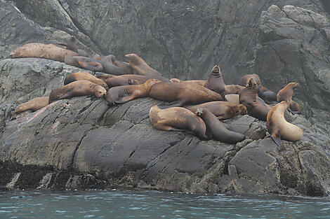 Alaska, nature on a grand scale-N-1079_S220816_Seward-Vancouver©StudioPONANT-Laure Patricot.jpg