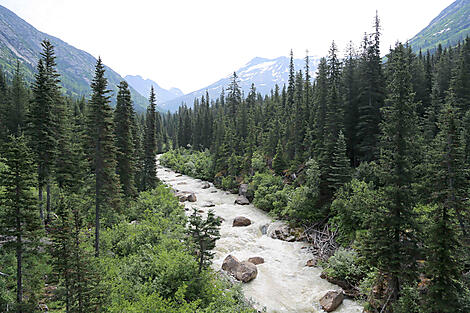 Alaska, nature on a grand scale-N-1236_S220816_Seward-Vancouver©StudioPONANT-Laure Patricot.jpg