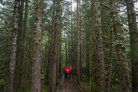 Alaska, nature on a grand scale-N-1436_S220816_Seward-Vancouver©StudioPONANT-Laure Patricot.jpg