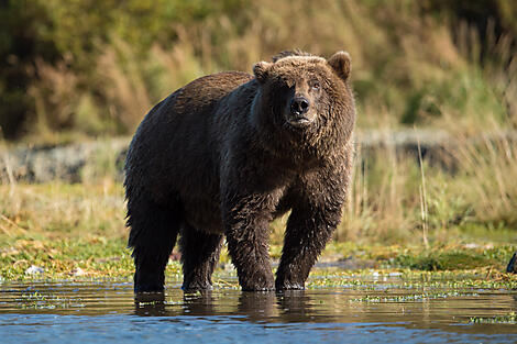 Cruising Alaska’s Inside Passage – with Smithsonian Journeys-N-4339_B130917_Nome-Vancouver©StudioPONANT-Olivier Blaud.jpg