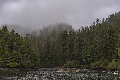 Grandiose Wildnis in Alaska-Best of-10368_A150919_Nome-Vancouver©Studio PONANT-Laurence Fischer.jpg