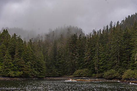 Cruise Majestic Alaska from Sitka, Alaska to Vancouver - July 2024  Ponant