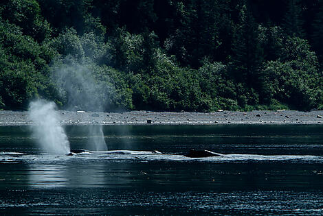 Point Adolphus, Alaska